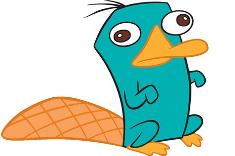 animated perry the platypus|perry the platypus profile picture.